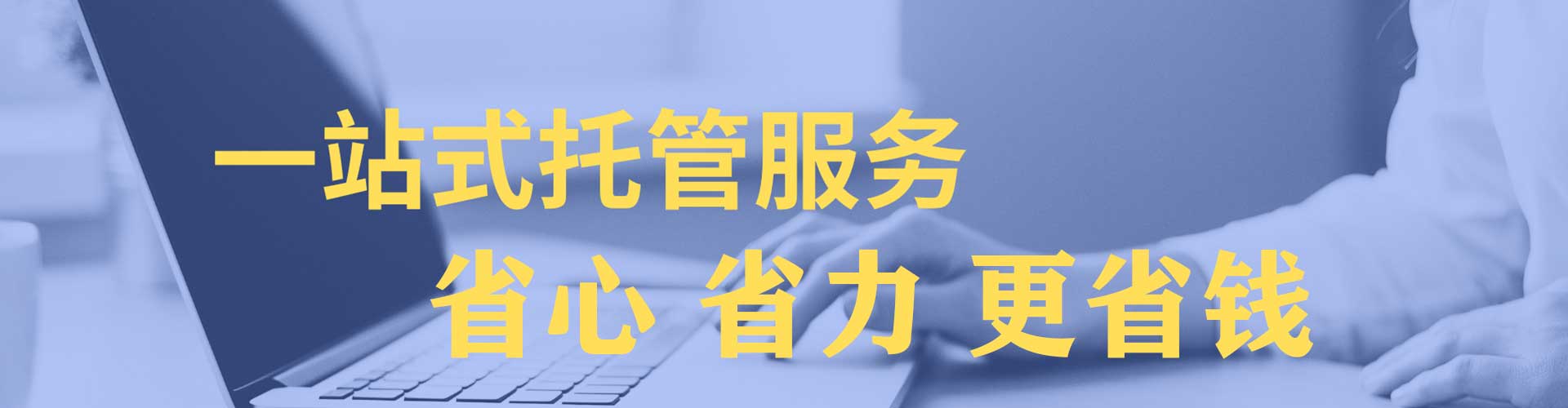 天山竞价托管